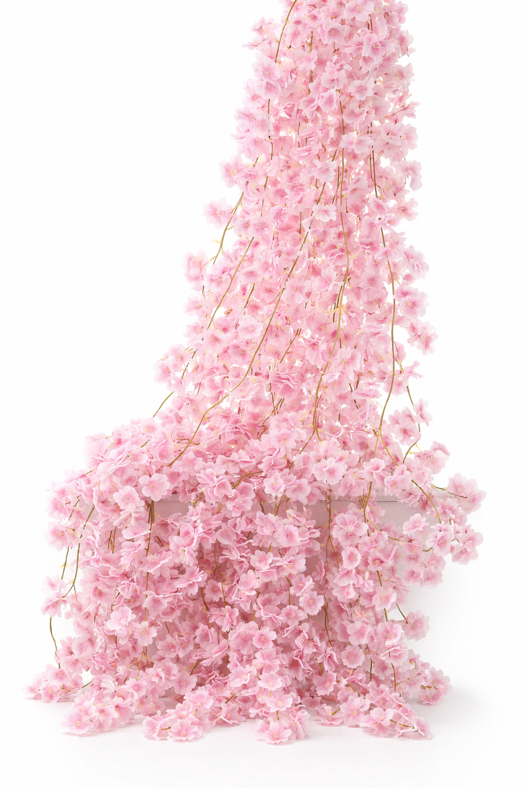 Cherry Vines