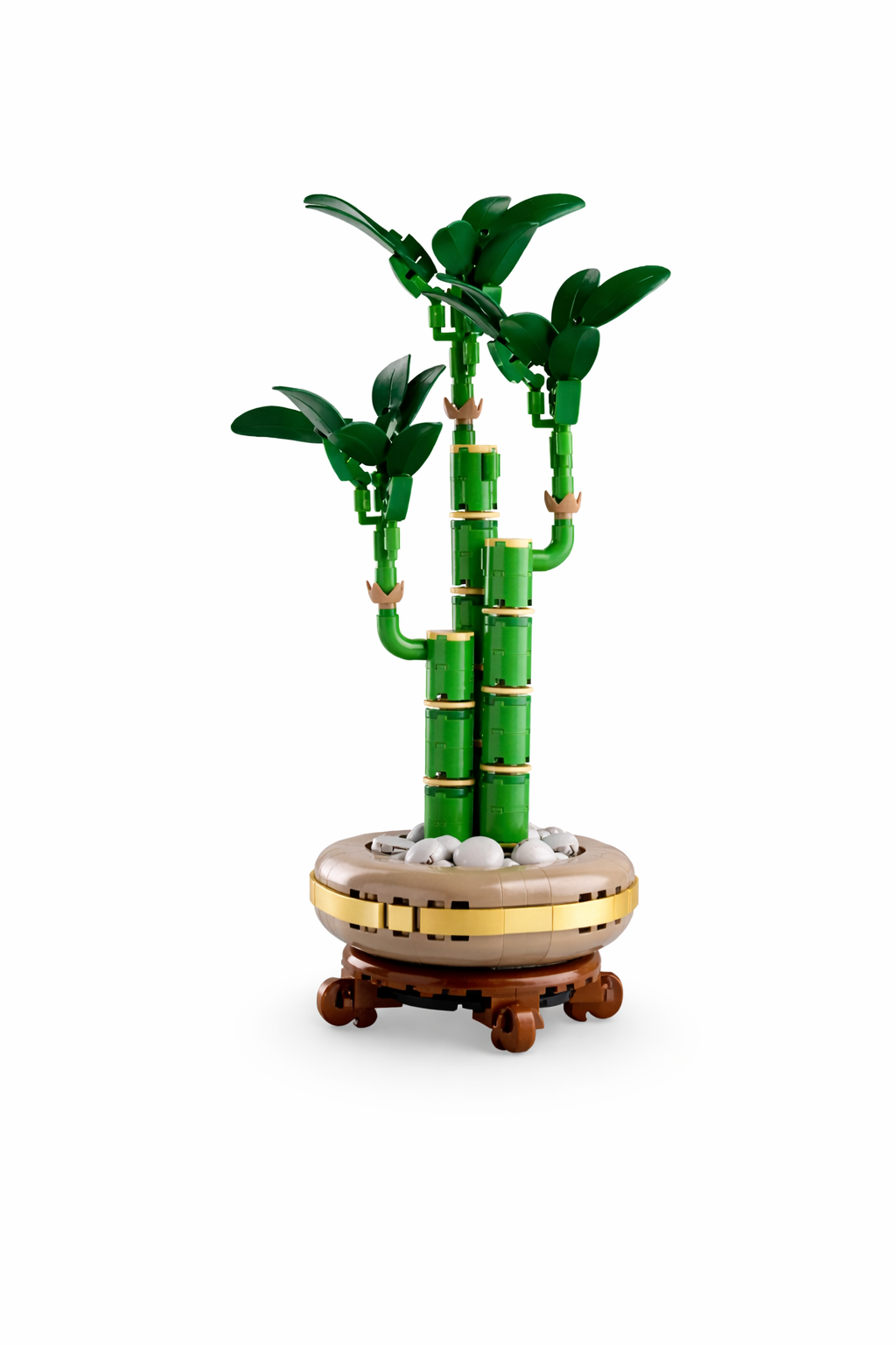 Lucky Bamboo Set
