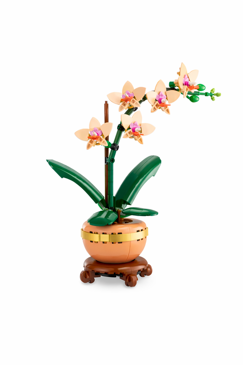 Blossom Display Collection