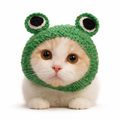 Cat Froggie Hat